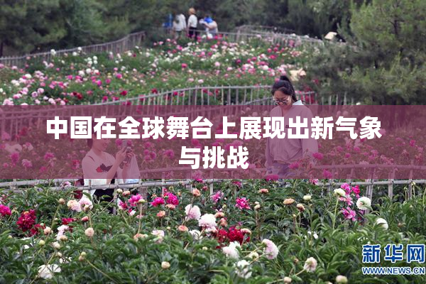 中国在全球舞台上展现出新气象与挑战