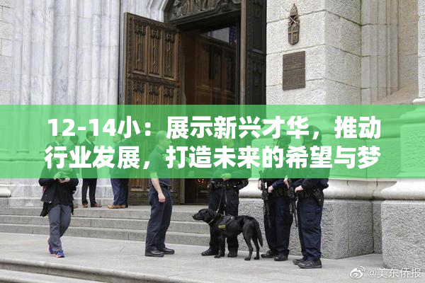 12-14小：展示新兴才华，推动行业发展，打造未来的希望与梦想。