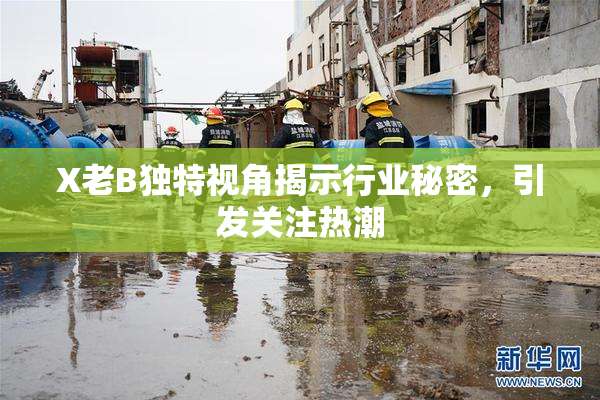 X老B独特视角揭示行业秘密，引发关注热潮