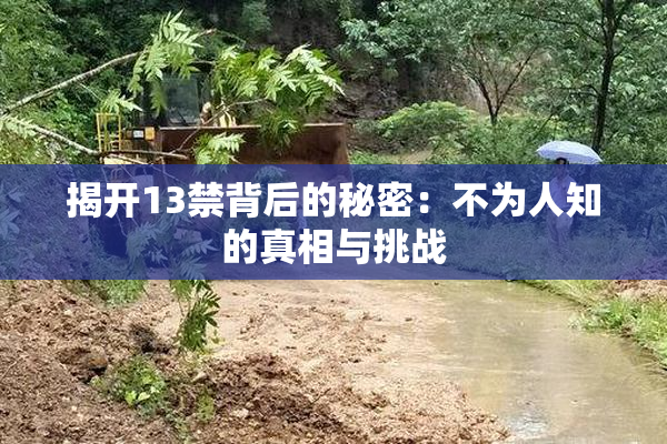 揭开13禁背后的秘密：不为人知的真相与挑战