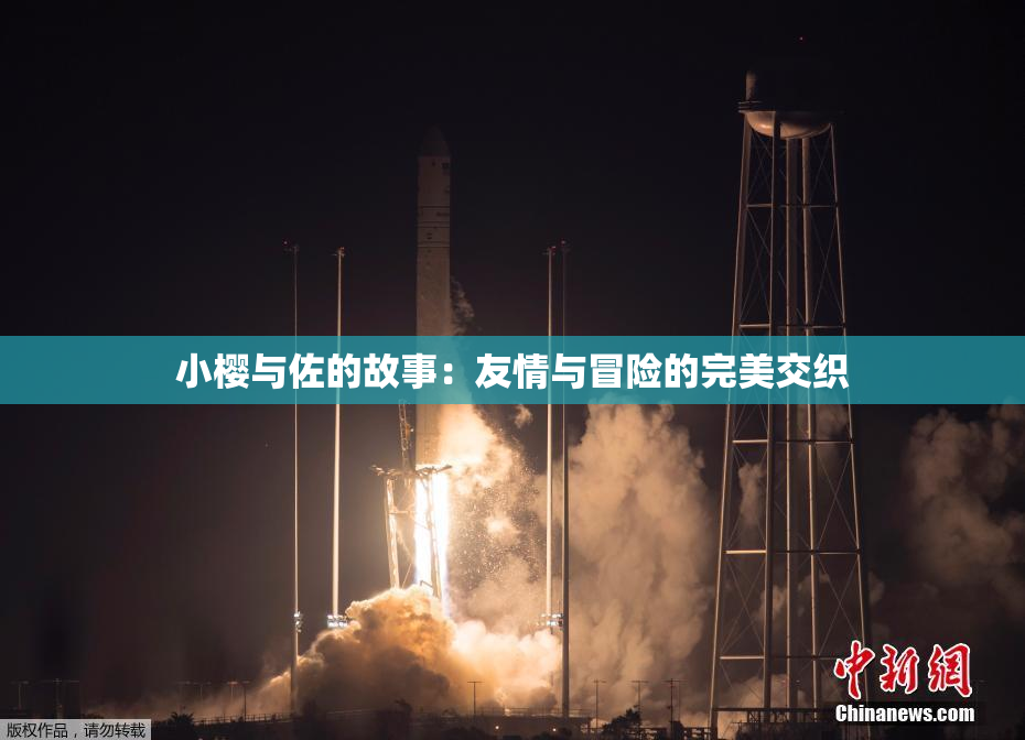 小樱与佐的故事：友情与冒险的完美交织
