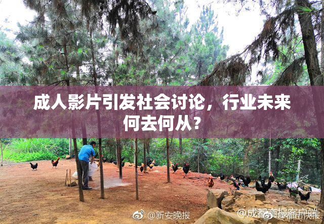 成人影片引发社会讨论，行业未来何去何从？