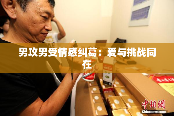 男攻男受情感纠葛：爱与挑战同在
