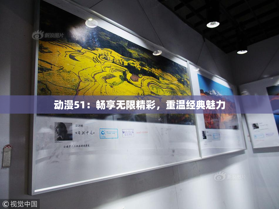 动漫51：畅享无限精彩，重温经典魅力