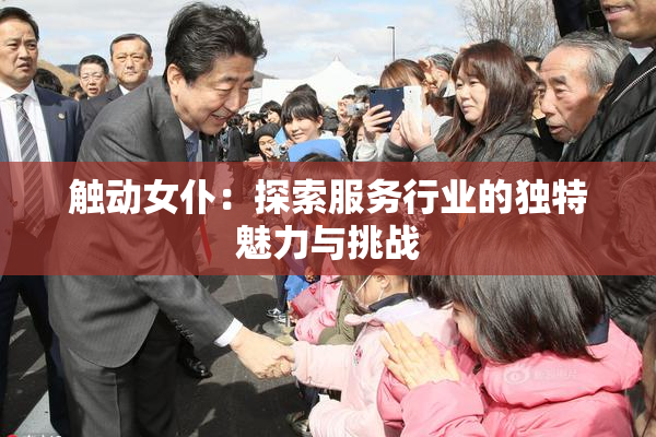 触动女仆：探索服务行业的独特魅力与挑战