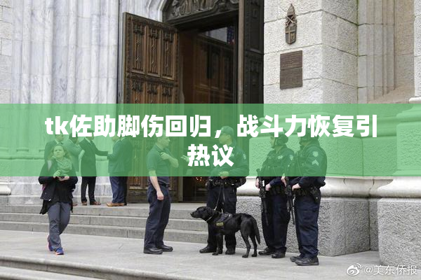 tk佐助脚伤回归，战斗力恢复引热议