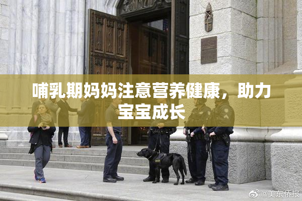 哺乳期妈妈注意营养健康，助力宝宝成长