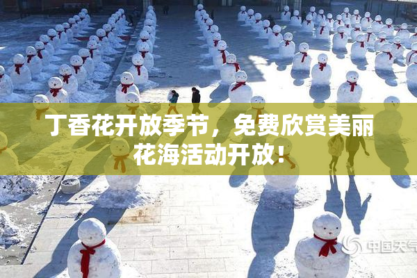 丁香花开放季节，免费欣赏美丽花海活动开放！