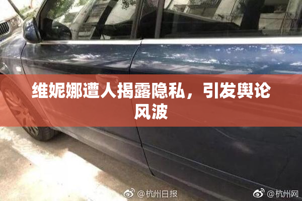 维妮娜遭人揭露隐私，引发舆论风波