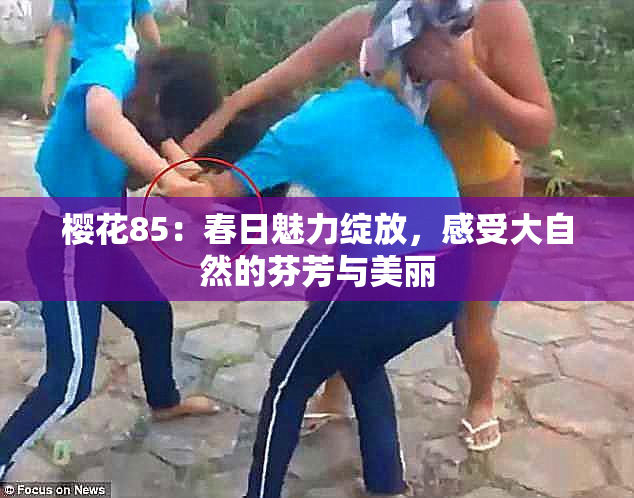 樱花85：春日魅力绽放，感受大自然的芬芳与美丽