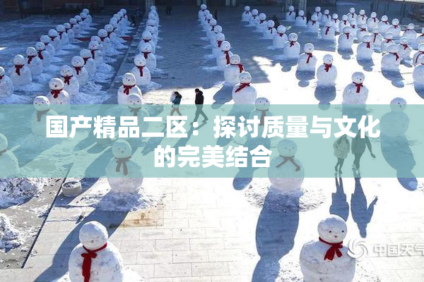 国产精品二区：探讨质量与文化的完美结合