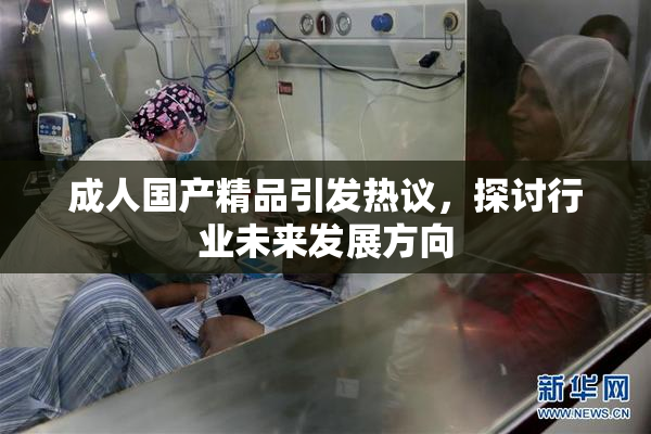 成人国产精品引发热议，探讨行业未来发展方向