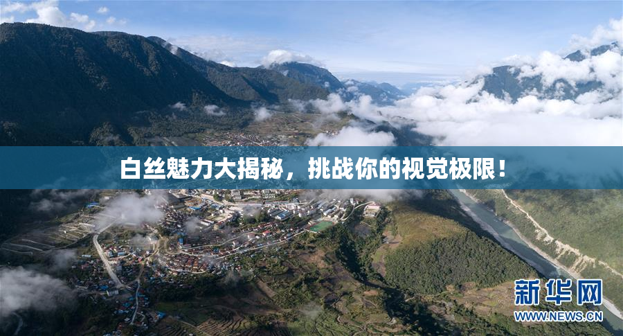 白丝魅力大揭秘，挑战你的视觉极限！
