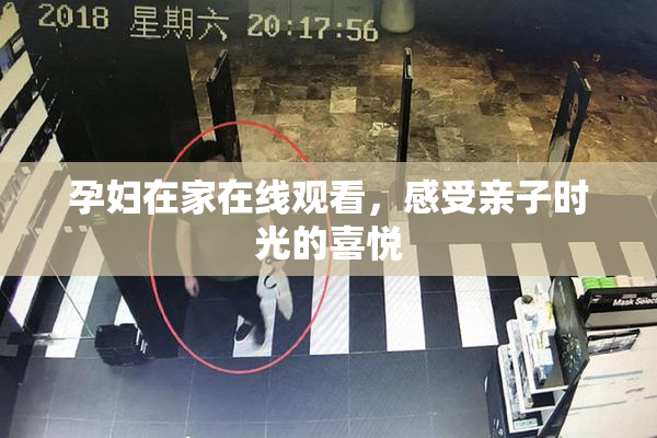 孕妇在家在线观看，感受亲子时光的喜悦
