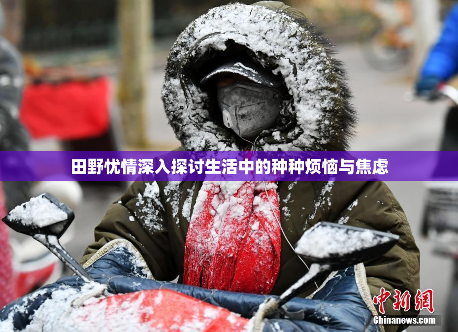 田野忧情深入探讨生活中的种种烦恼与焦虑