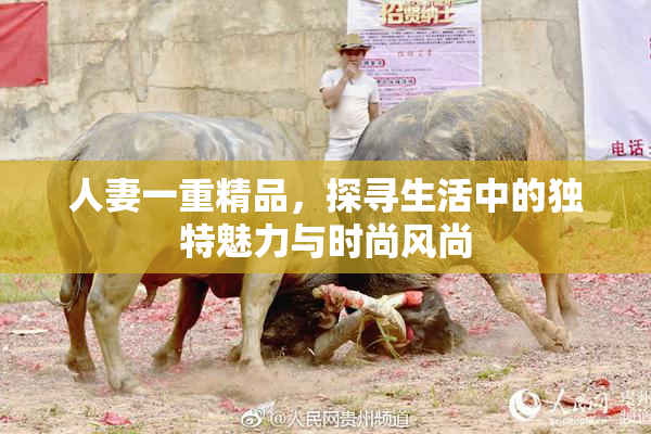 人妻一重精品，探寻生活中的独特魅力与时尚风尚