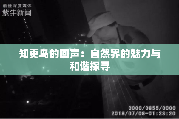 知更鸟的回声：自然界的魅力与和谐探寻