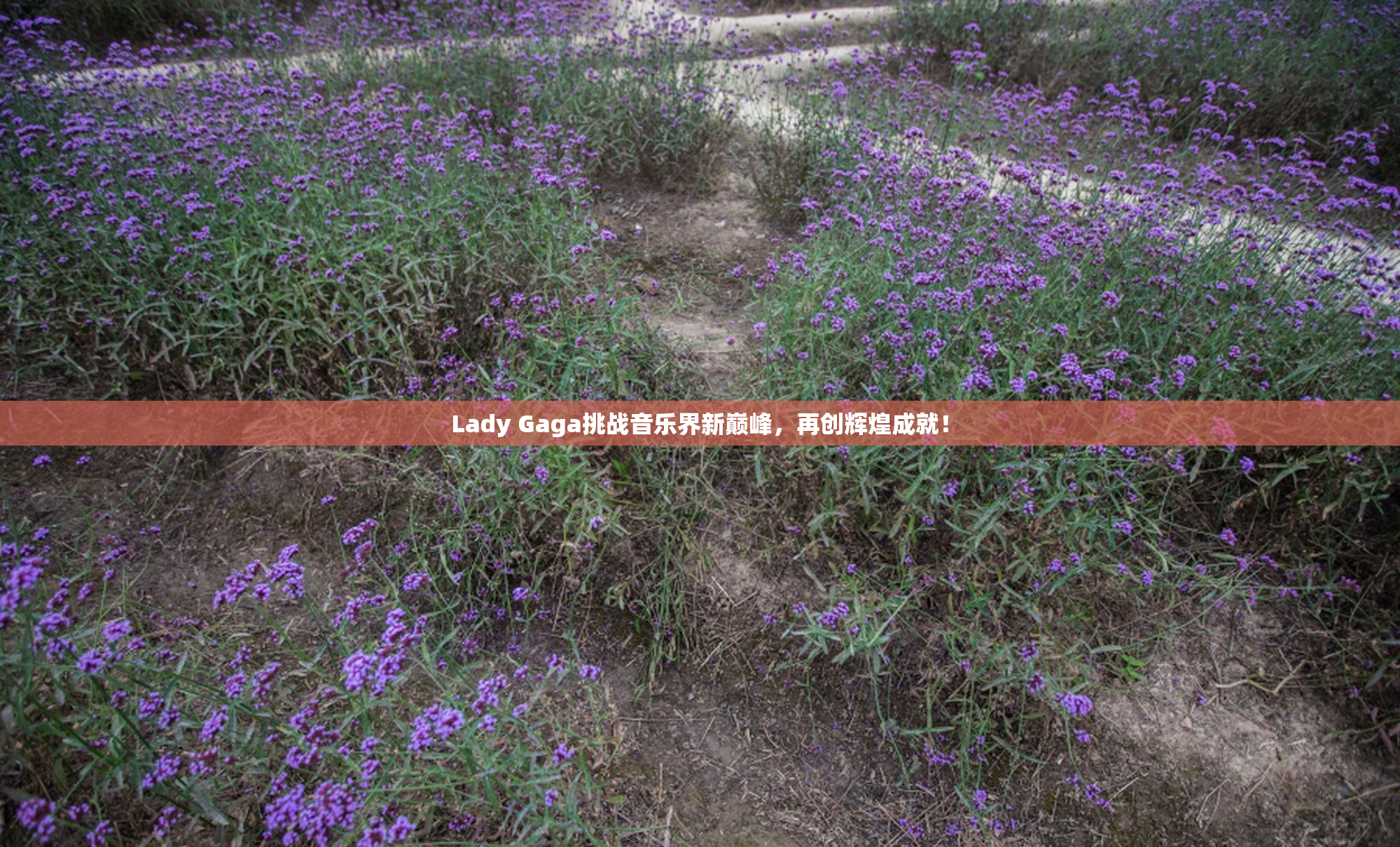 Lady Gaga挑战音乐界新巅峰，再创辉煌成就！