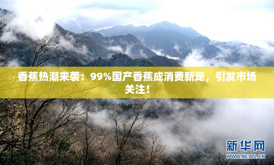 香蕉热潮来袭：99%国产香蕉成消费新宠，引发市场关注！