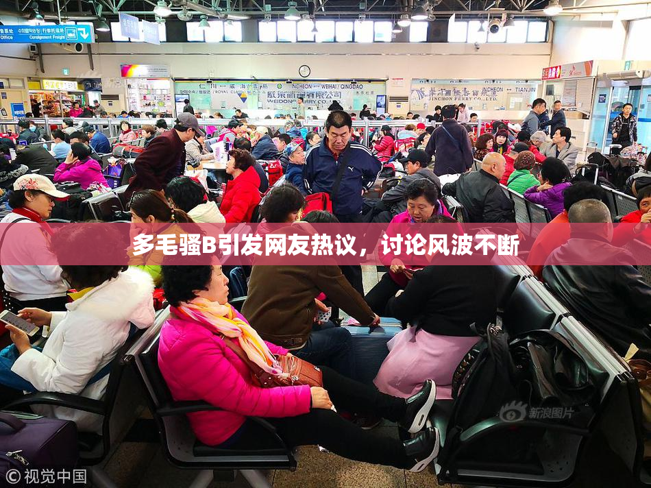 多毛骚B引发网友热议，讨论风波不断