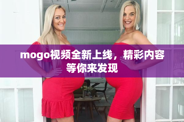 mogo视频全新上线，精彩内容等你来发现