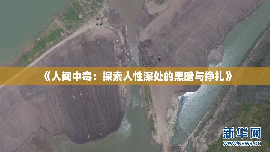 《人间中毒：探索人性深处的黑暗与挣扎》