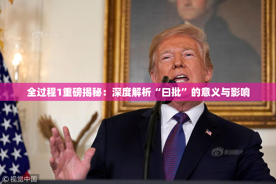 全过程1重磅揭秘：深度解析“曰批”的意义与影响