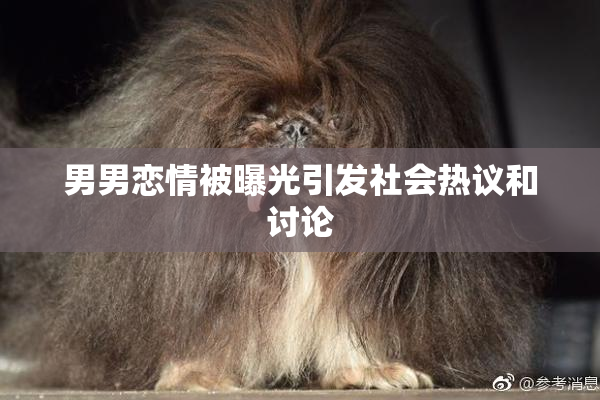 男男恋情被曝光引发社会热议和讨论