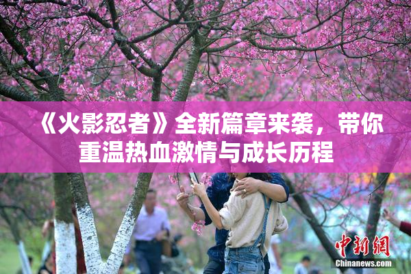 《火影忍者》全新篇章来袭，带你重温热血激情与成长历程