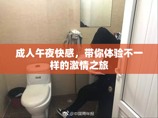 成人午夜快感，带你体验不一样的激情之旅