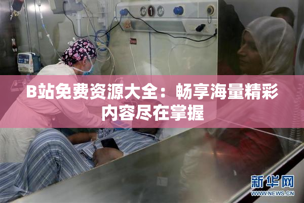 B站免费资源大全：畅享海量精彩内容尽在掌握