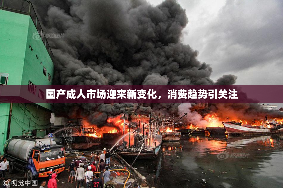 国产成人市场迎来新变化，消费趋势引关注