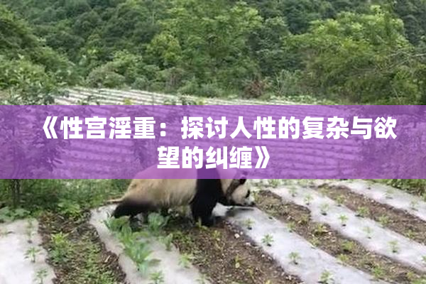 《性宫淫重：探讨人性的复杂与欲望的纠缠》