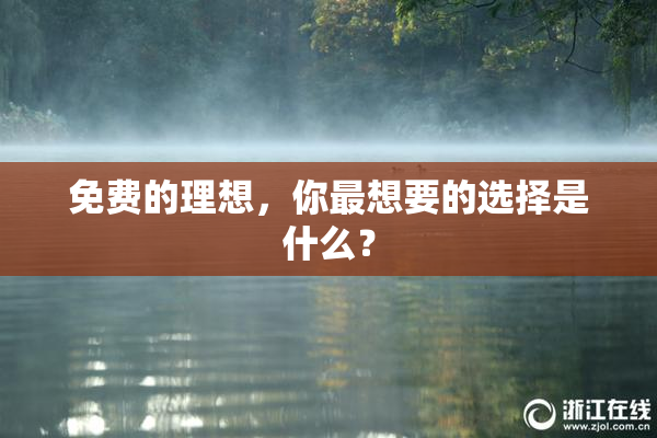免费的理想，你最想要的选择是什么？
