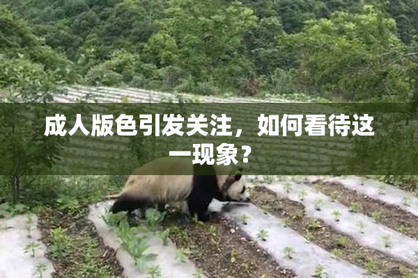 成人版色引发关注，如何看待这一现象？