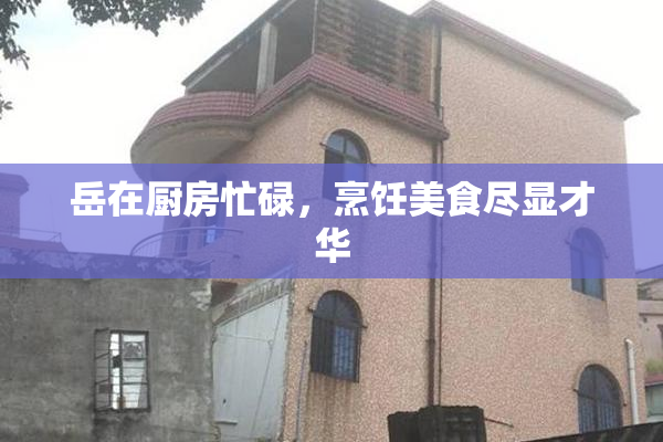 岳在厨房忙碌，烹饪美食尽显才华