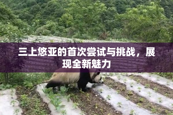 三上悠亚的首次尝试与挑战，展现全新魅力