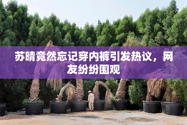 苏晴竟然忘记穿内裤引发热议，网友纷纷围观