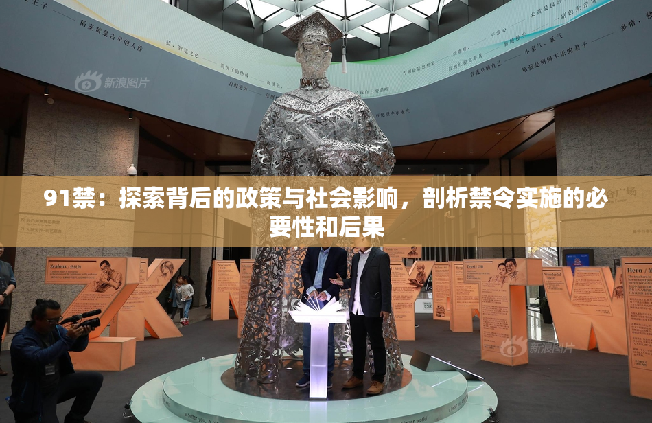 91禁：探索背后的政策与社会影响，剖析禁令实施的必要性和后果