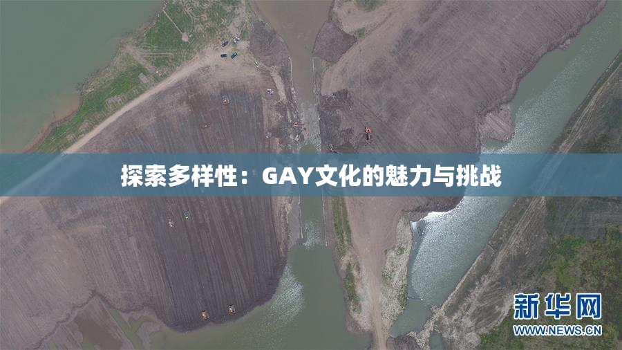 探索多样性：GAY文化的魅力与挑战