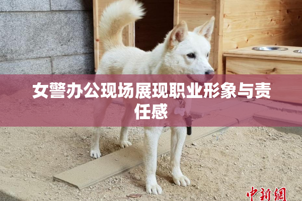 女警办公现场展现职业形象与责任感
