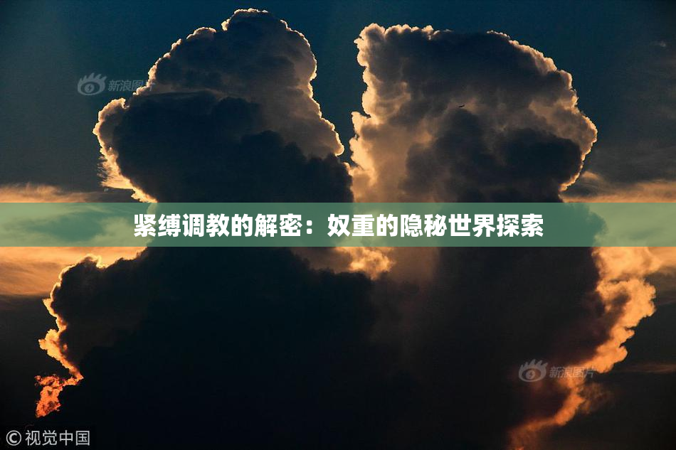 紧缚调教的解密：奴重的隐秘世界探索