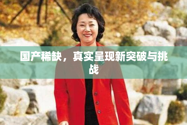 国产稀缺，真实呈现新突破与挑战