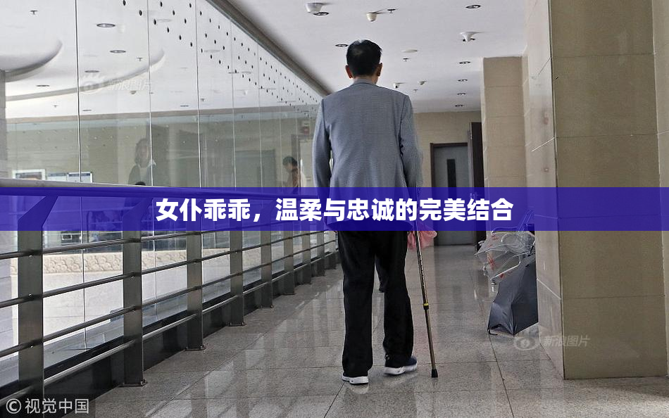 女仆乖乖，温柔与忠诚的完美结合