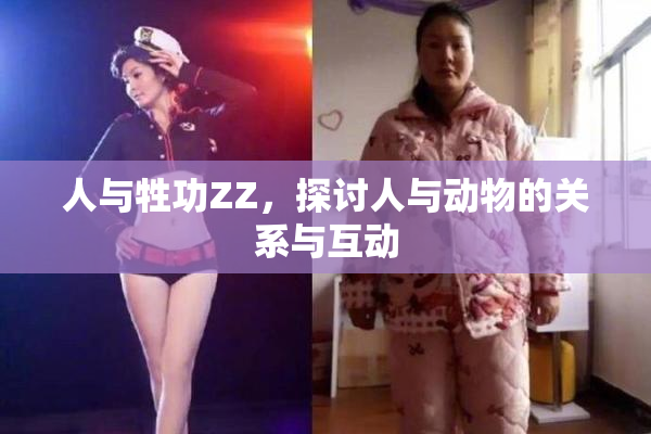 人与牲功ZZ，探讨人与动物的关系与互动