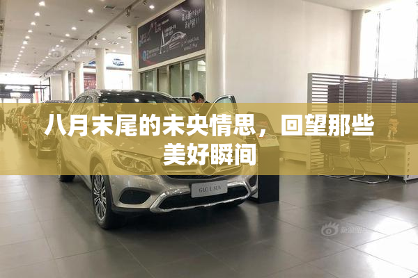 八月末尾的未央情思，回望那些美好瞬间
