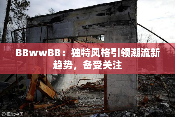BBwwBB：独特风格引领潮流新趋势，备受关注