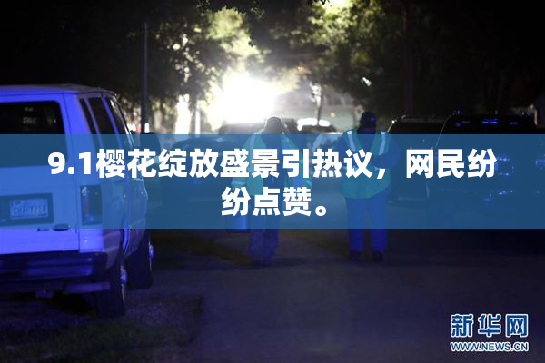 9.1樱花绽放盛景引热议，网民纷纷点赞。