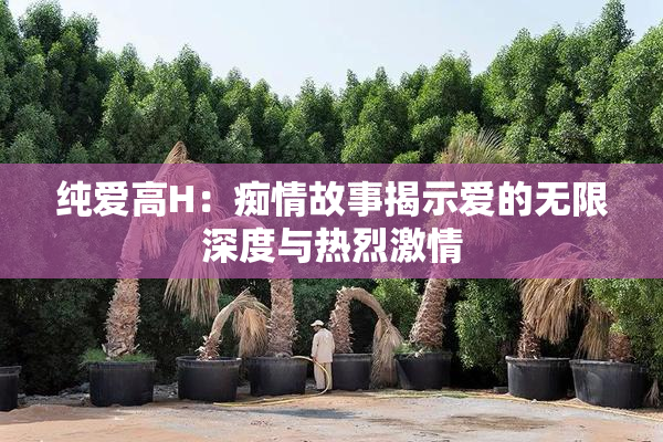 纯爱高H：痴情故事揭示爱的无限深度与热烈激情