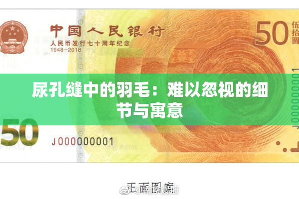 尿孔缝中的羽毛：难以忽视的细节与寓意